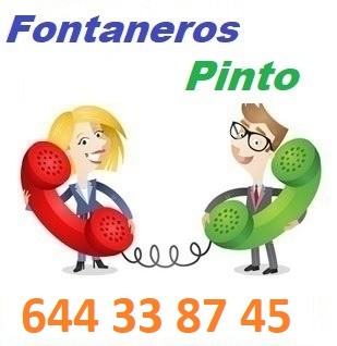 Telefono de la empresa fontaneros Pinto
